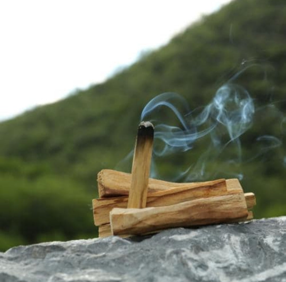 Palo Santo Sticks Premium Qualität - aus Peru - heiliges Holz - Bursera Graveolens - Räucherwerk